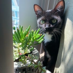 Meet your Posher, Claire